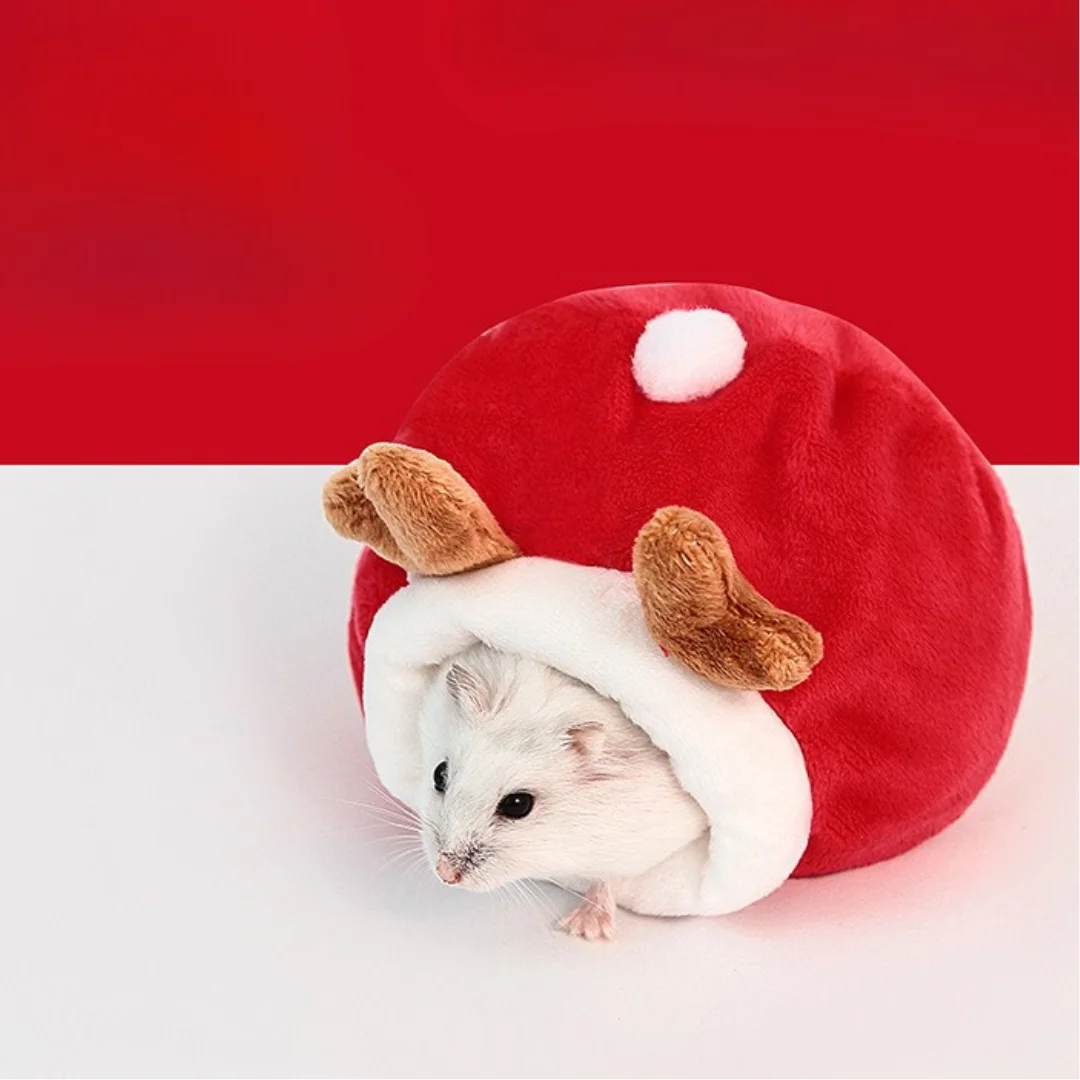 _07.png