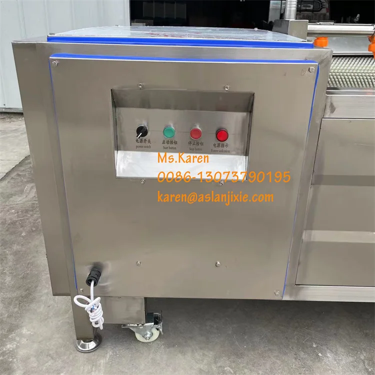 Oman Saudi Palm Dates Dry Cleaning Water Washing Machine Rotary Brush