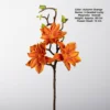 Fortune star magnolia-autumn orange