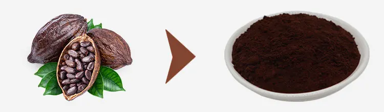 Wholesale Price Bulk 25kg Alkalized Cocoa Powder Raw Cacao Powder For Sale