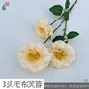 3-headed plush hibiscus BD champagne
