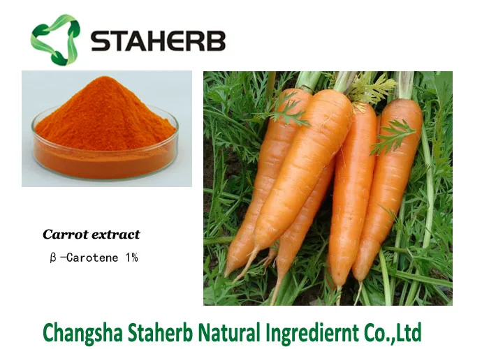 high quality Carrot Extract powder