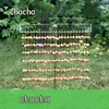 Chacha