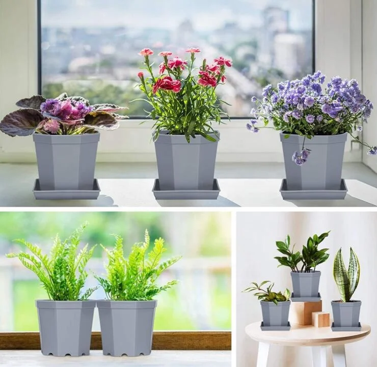 Vasi da fiori neri da 10 pezzi Vasi di plastica Piccoli vasi quadrati per piante succulente acquista in modo economico - spedizione gratuita, recensioni reali con foto