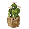 BLOOMING CACTUS CHARM