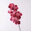 Rose garance