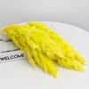Yellow 3