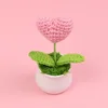 Rose-Petite plante en pot en forme de coeur