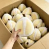 ตุ๊กตาผ้า 17 ตัว (ติดต่อเราเพื่อรับแคตตาล็อกที่มีมากกว่า 6000 แบบ)