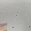 Transparent