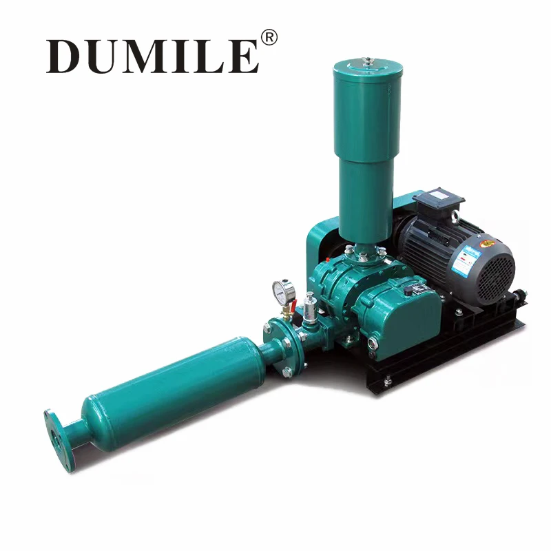 Roots Blower, 1.5KW, Cast - detail 8