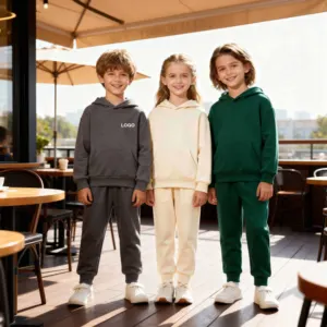 OEM ODM Subtle Embroidery logo Raglan Sleeve Hoodie Sweat Pants Mid-weight Moisture-Wicking Outdoor Matching Two Pieces Set