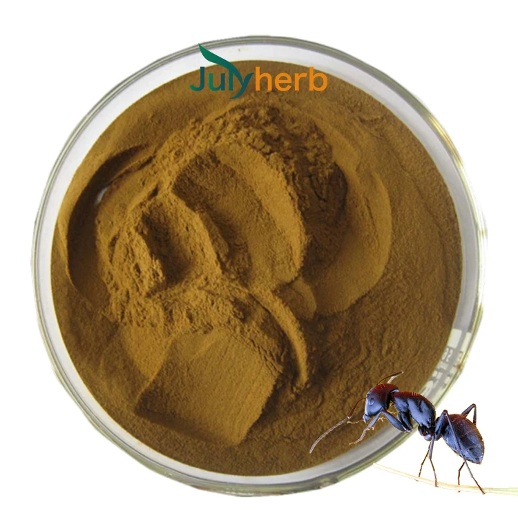 Black Ant Extract Powder