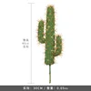 Trompeta de cactus