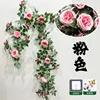 Vid de rosas grande de Austin - Rosa intenso