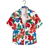 Hawaii shirt