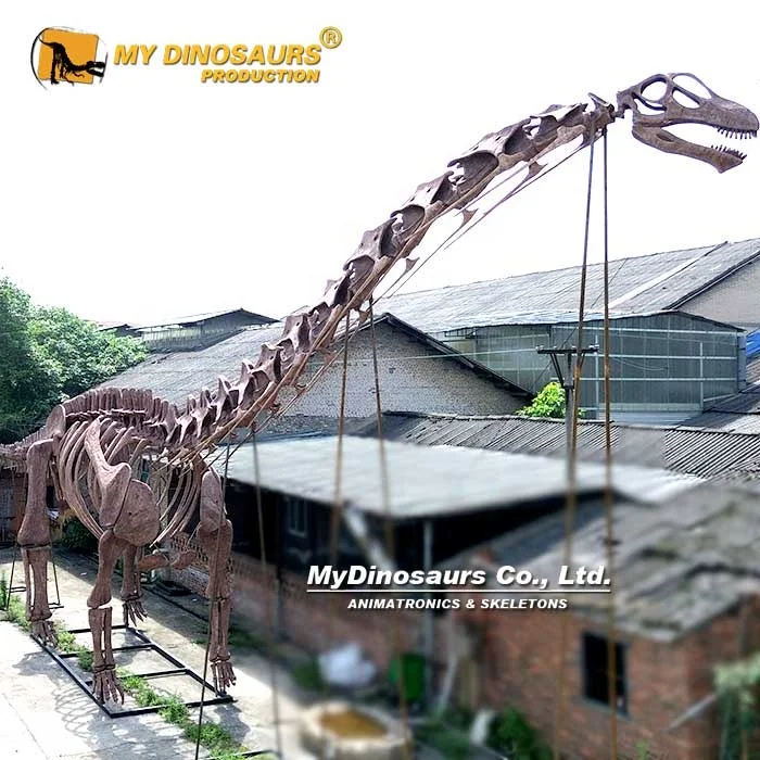 Mydino DS627 Dinosaur Skeleton Model Argentinosaurus Fossil for Sale