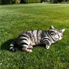 Gatto grigio