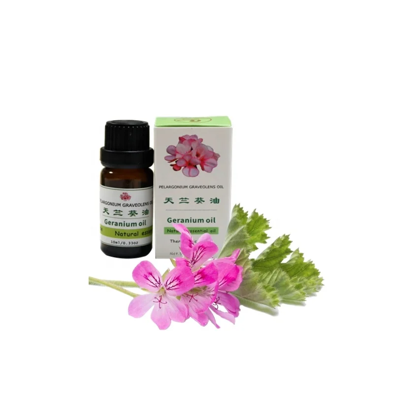 geranium oil price/wholesale geranium oil 10ml/oem geranium
