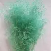 Turchese