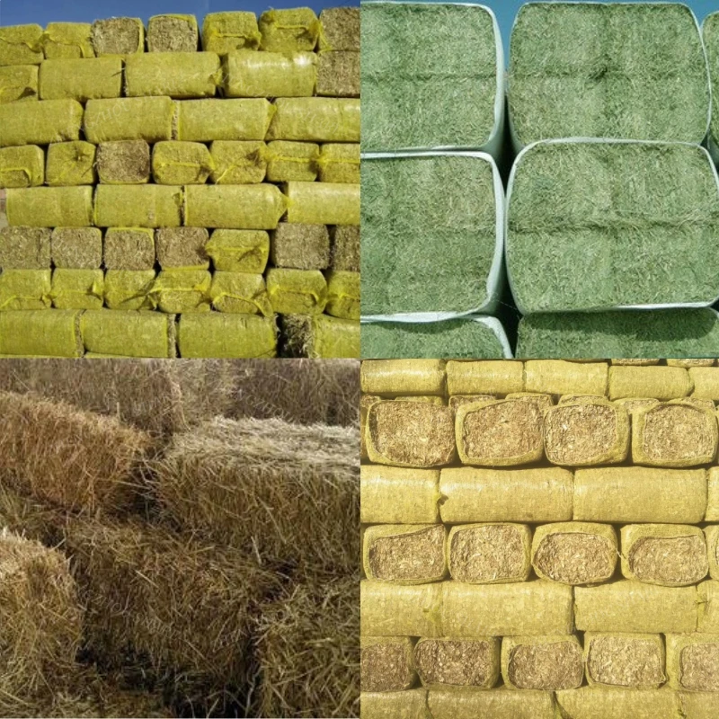 Automation Square Caeb Hay Silage Baler and Wrapper Machine in India
