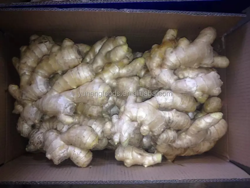 air dried ginger 20.jpg