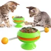 Turntable Slow Feeder Cat Toy - Green