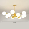 12 teste-oro