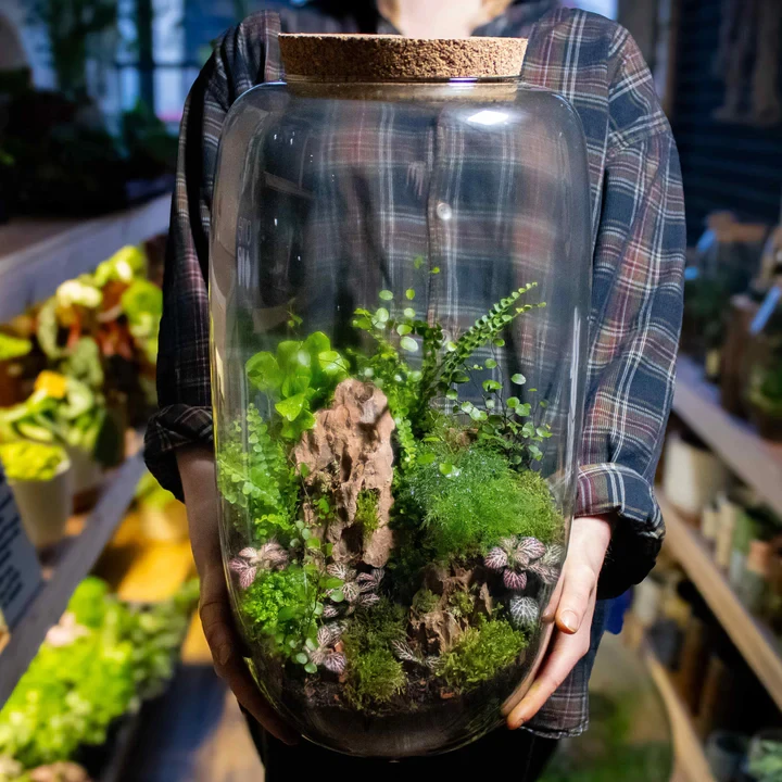 Tall Terrarium Container That Create Your Own Miniature Ecosystem ...