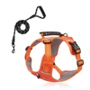 Orange+339 Laisse