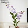 Golden Jasmine Purple-Red