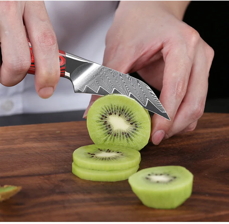 Ensemble de couteaux de cuisine japonais professionnels faits à la main, ensemble de 6 couteaux de Chef en acier damas