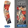 WSXT-013