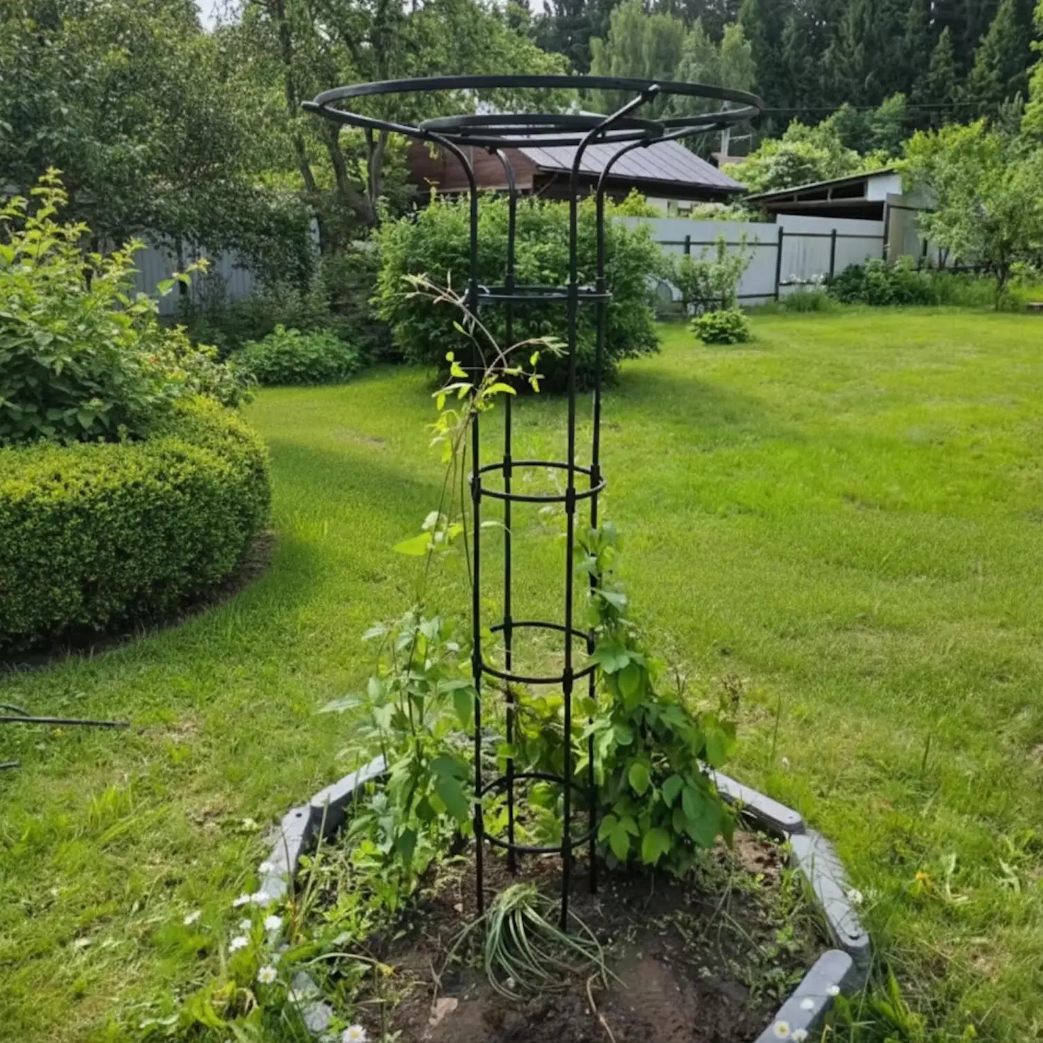Outdoor Adjustable Metal Plant Trellis for Climbing Plants - Rust-Proof PE  Coated Steel Frame Garden Support Stand