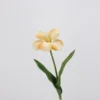 Amarillo
