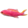 Pescado rosa