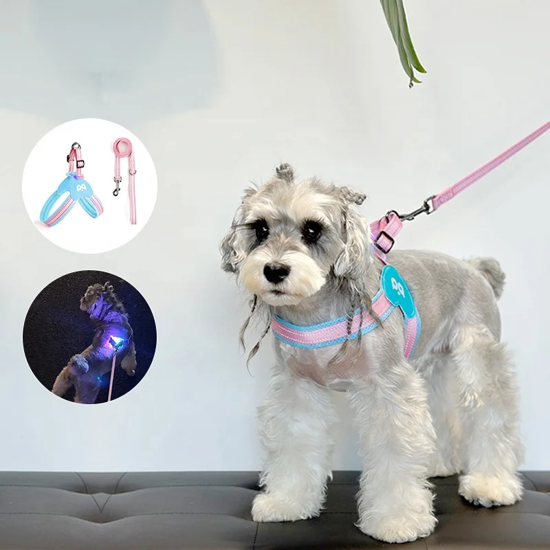 2025 Innovative Custom Printed Dog Harness New Style Pet Product