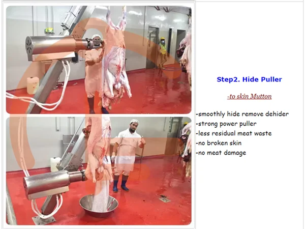 Fully automatic mutton slaughterhouse equipped with mutton slaughterhouse meat traceability system equipment