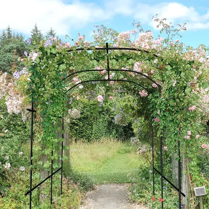 Garden Decoration Metal Arch Roses Grape Vines Trellis for Flower ...