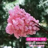 Trident Secret Rose profond