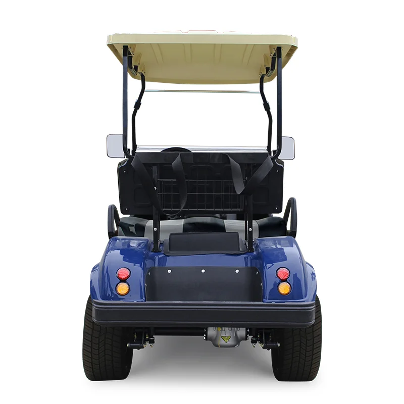 HDK EV Utility Vehicle Mini Buggy Trolley UTV 2 Seats 48V Trucks Jeep Gokart Electric Golf Cart