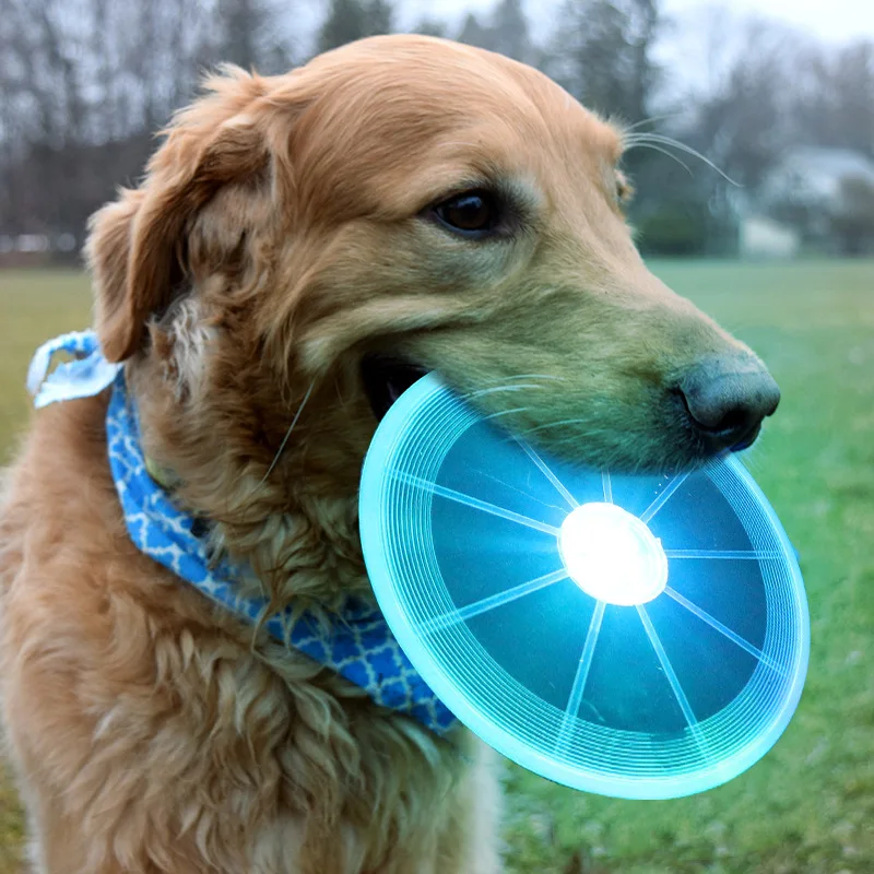 led dog frisbee