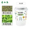 Lucky Clover Planting Kit
