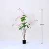 Pink weeping jasmine bonsai, 120cm
