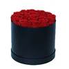 Rosa-26-Round