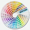 Colore personalizzato