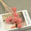 Rosa claro