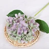 Purple green