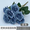 กุหลาบกลมเก้าหัวหลายชั้น สีฟ้า
