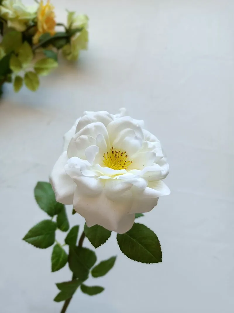 White Flowers New Artificial China Rose Real Touch Flower For Home ...